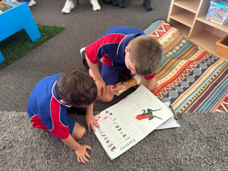 A year six student sitting next to a kindergarten student on the mat, looking at a book about frogs