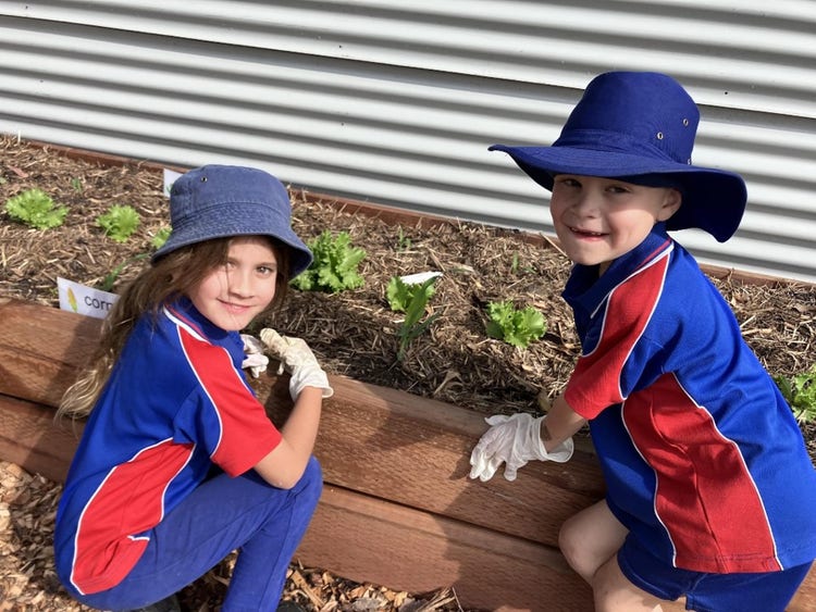 Two students sitting beside a wooden garden bed where vegetable seedlings are growing.
