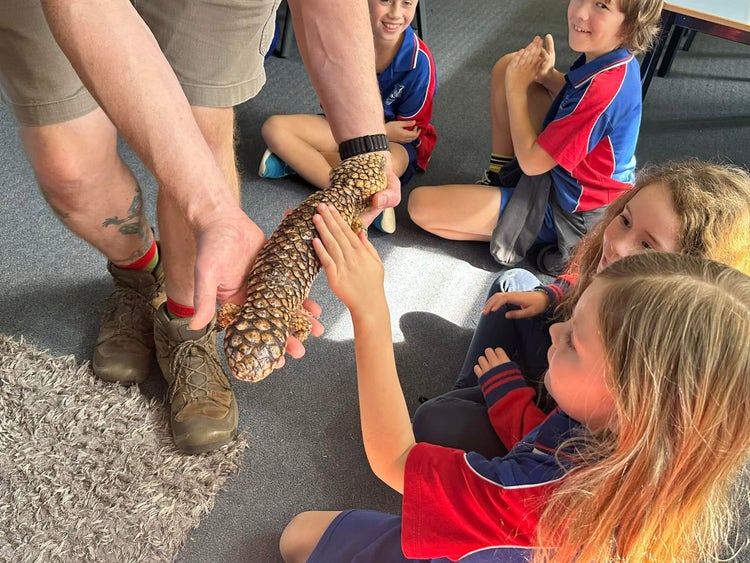 A zookeeper is showing a medium sized lizard to some year three students. One girl is patting the lizard's back