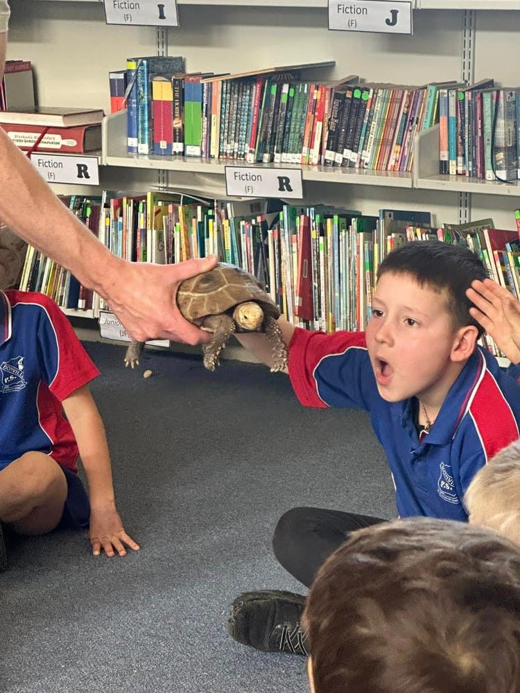 A year four student, with hands raised and mouth open, looks in wonder at a turtle held by a zookeeper.